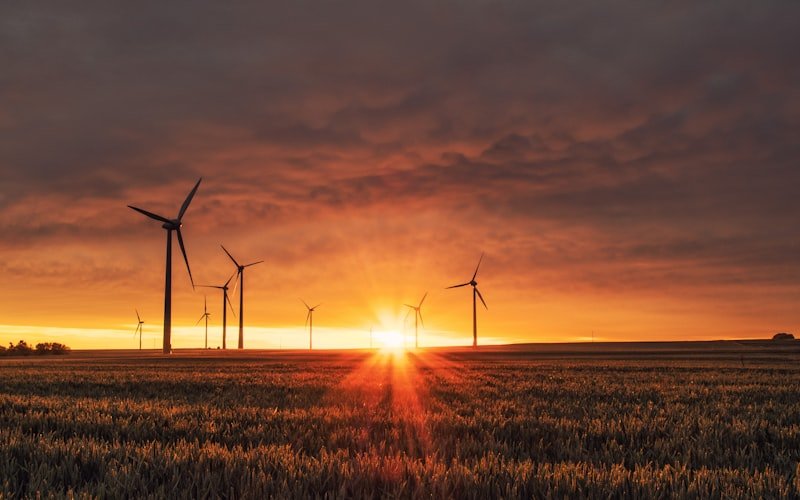 Sustainable Tech & Green Digital Products