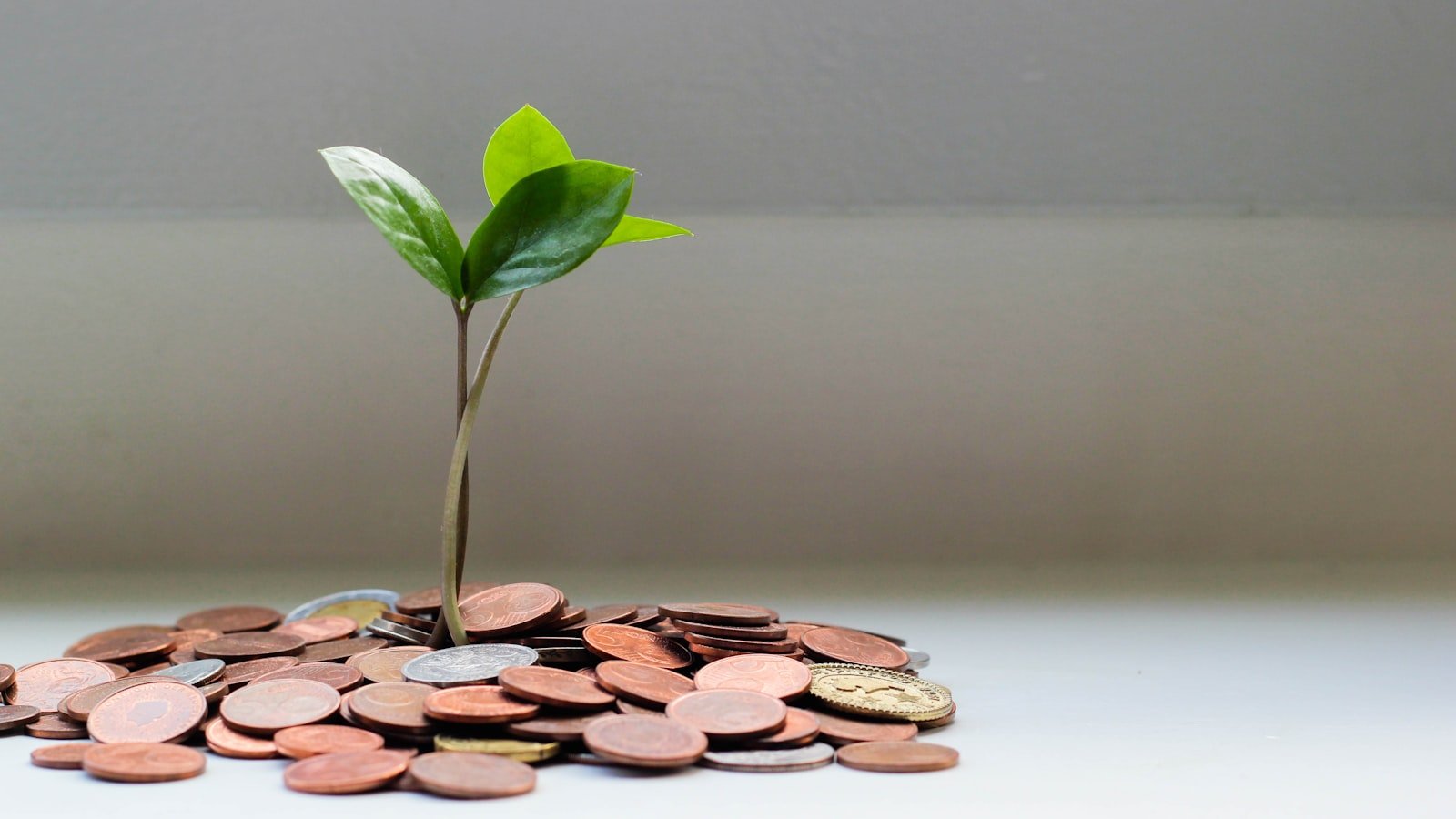Course Monetization & Flexible Payments