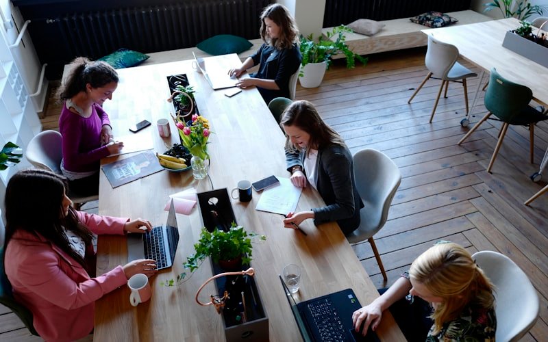 UX Research & User Testing